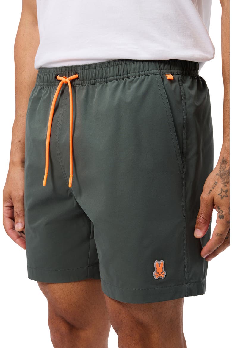 Palm View Hydrochromic Swim Trunks, Alternate, color, URBAN CHIC