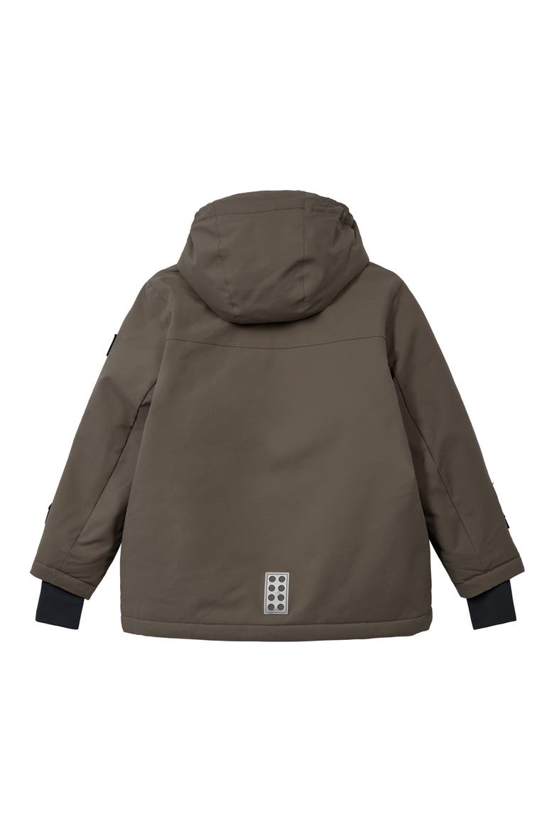 Kids' Winter Ski Jacket, Alternate, color, BROWN
