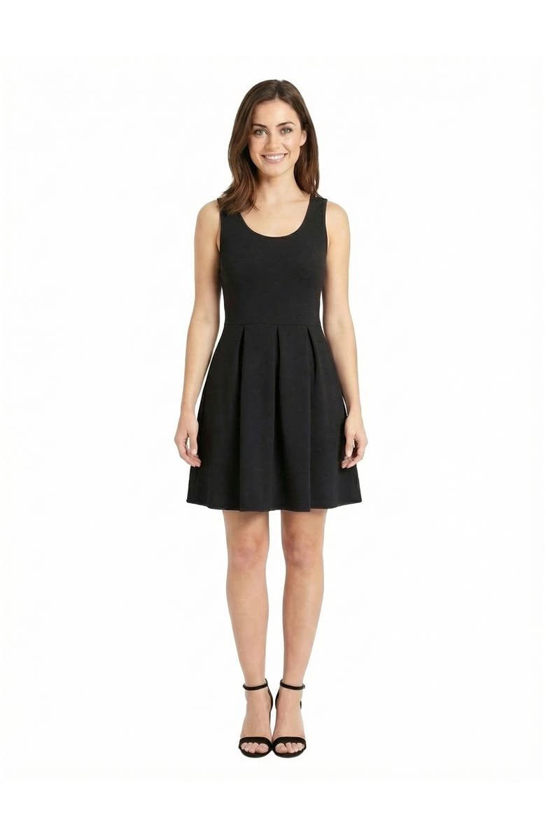 24seven Comfort Apparel Essential Petite Scoop Neck Sleeveless Pleated Knee Length Pocket Fit N Flare Dress, Main, color, Black