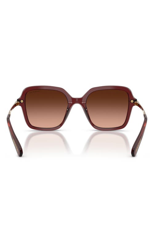 Swarovski 50mm Small Irregular Sunglasses In Brown