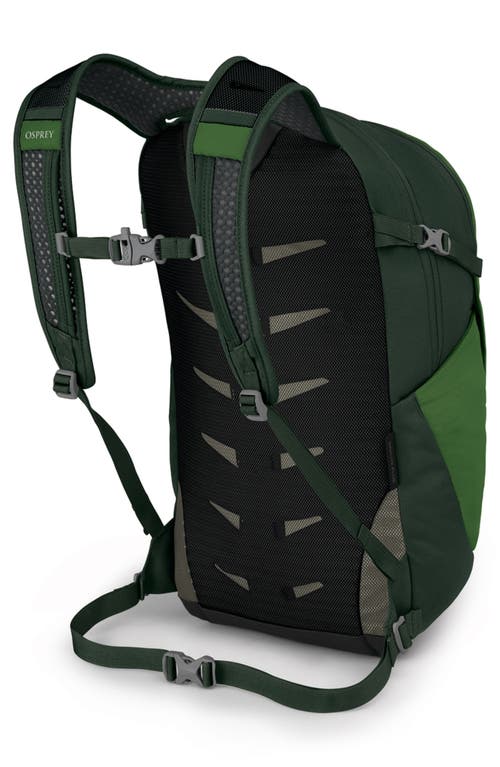 Osprey Daylite Plus Backpack In Green Belt/green Canopy