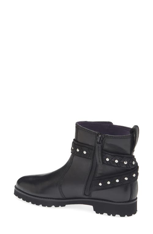 Robert Zur Nicolle Buckle Strap Bootie In Black