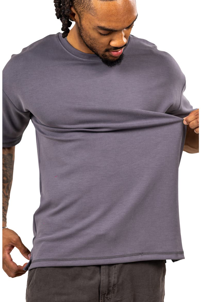 Ascension T-Shirt, Alternate, color, GREY