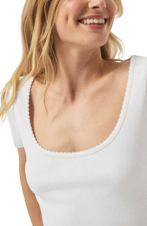 Splendid Posie Scoop Neck Ribbed T-shirt