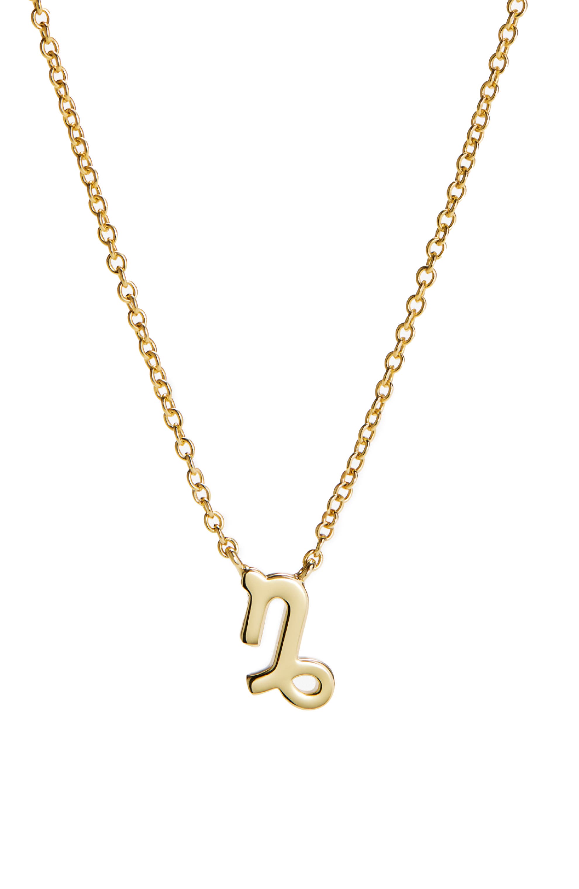 Capricorn