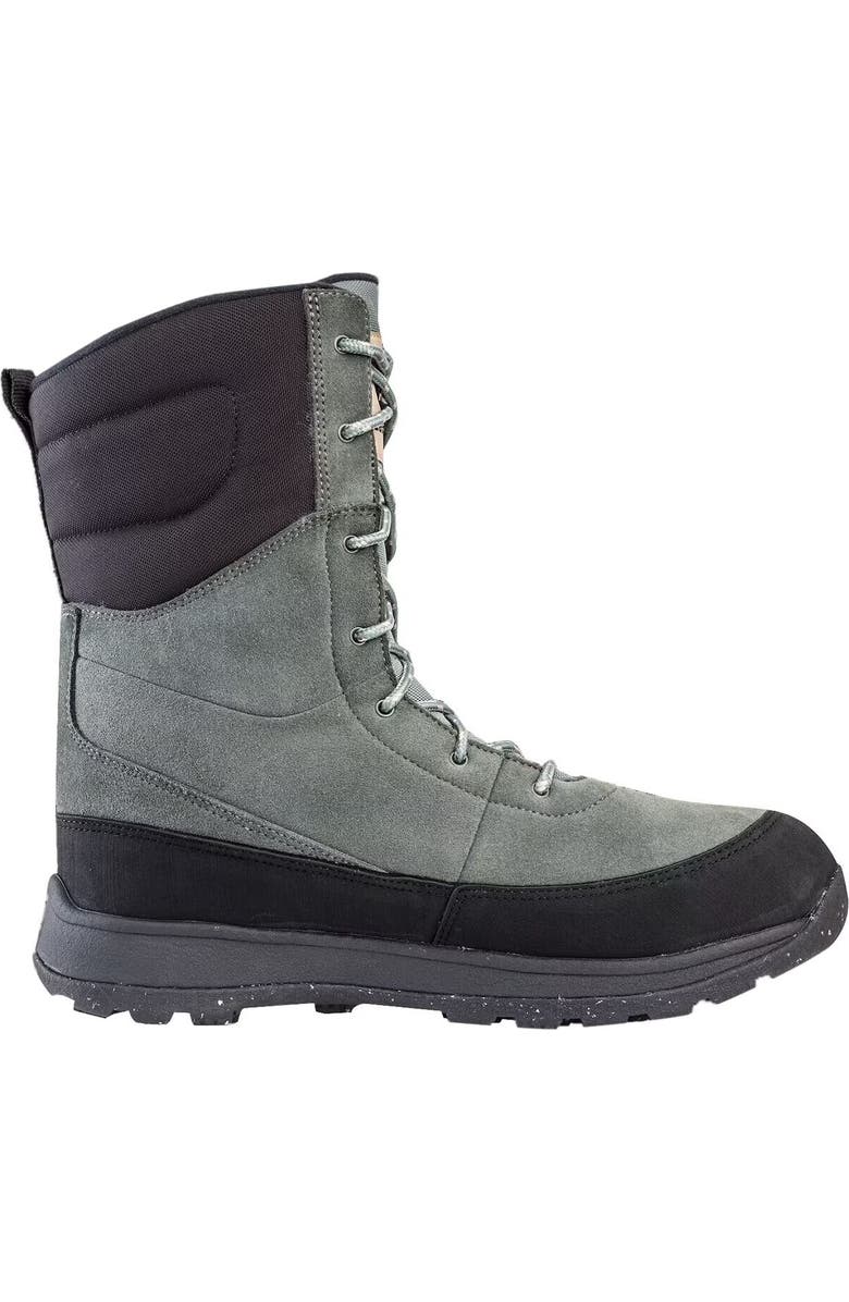 Icebug Torne 2 BUGrip GTX Boot - Men's, Alternate, color,