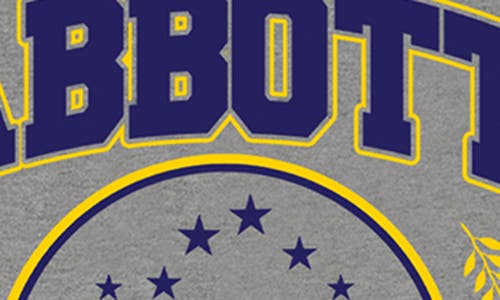 Ripple Junction Abbott Elementary Athletic Graphic T-shirt In Gray