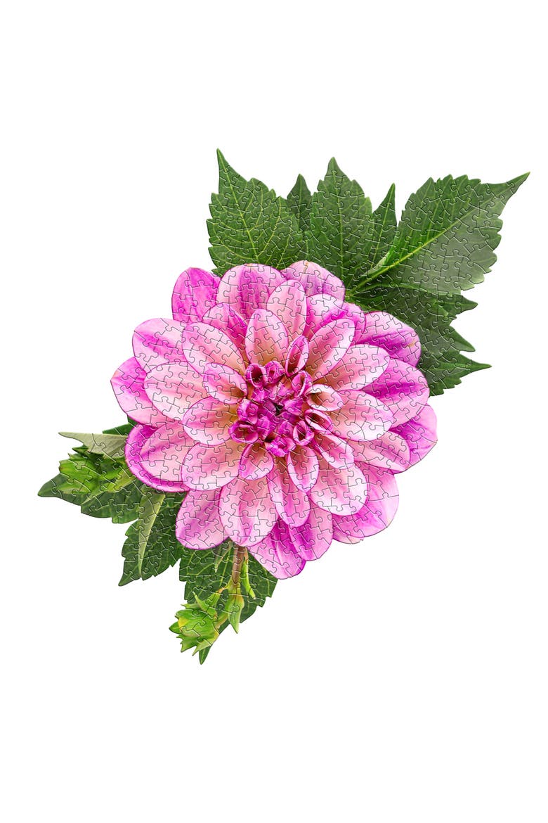 Dahlia 350 Piece Jigsaw Puzzle, Alternate, color, Multicolored