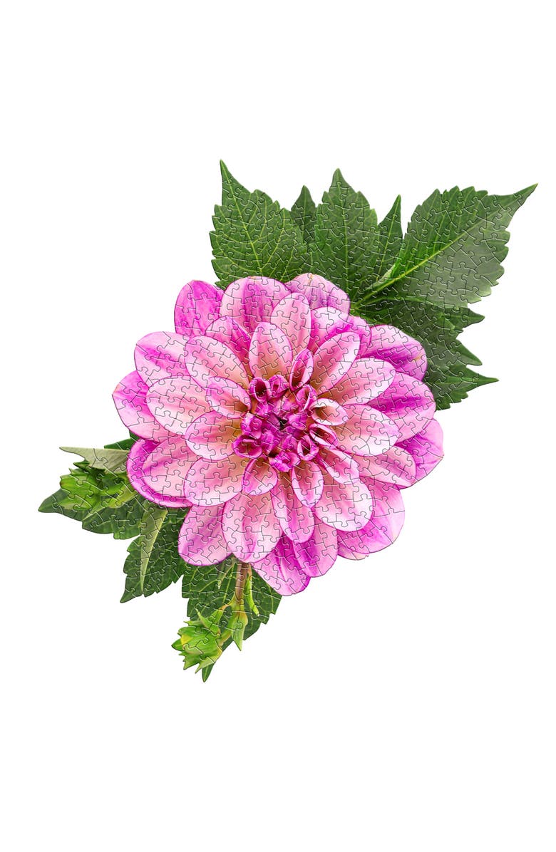 Madd Capp Dahlia 350 Piece Jigsaw Puzzle, Alternate, color, Multicolored