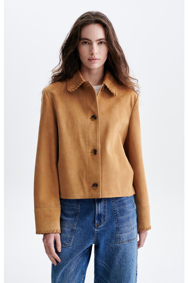 Short Jacket, Alternate, color, Camel