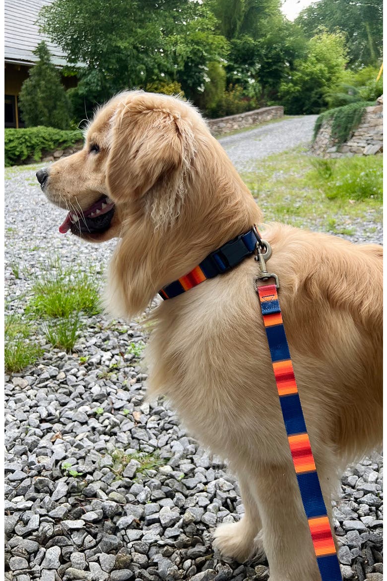 National Park Adventure Leash, Alternate, color, GRAND CANYON
