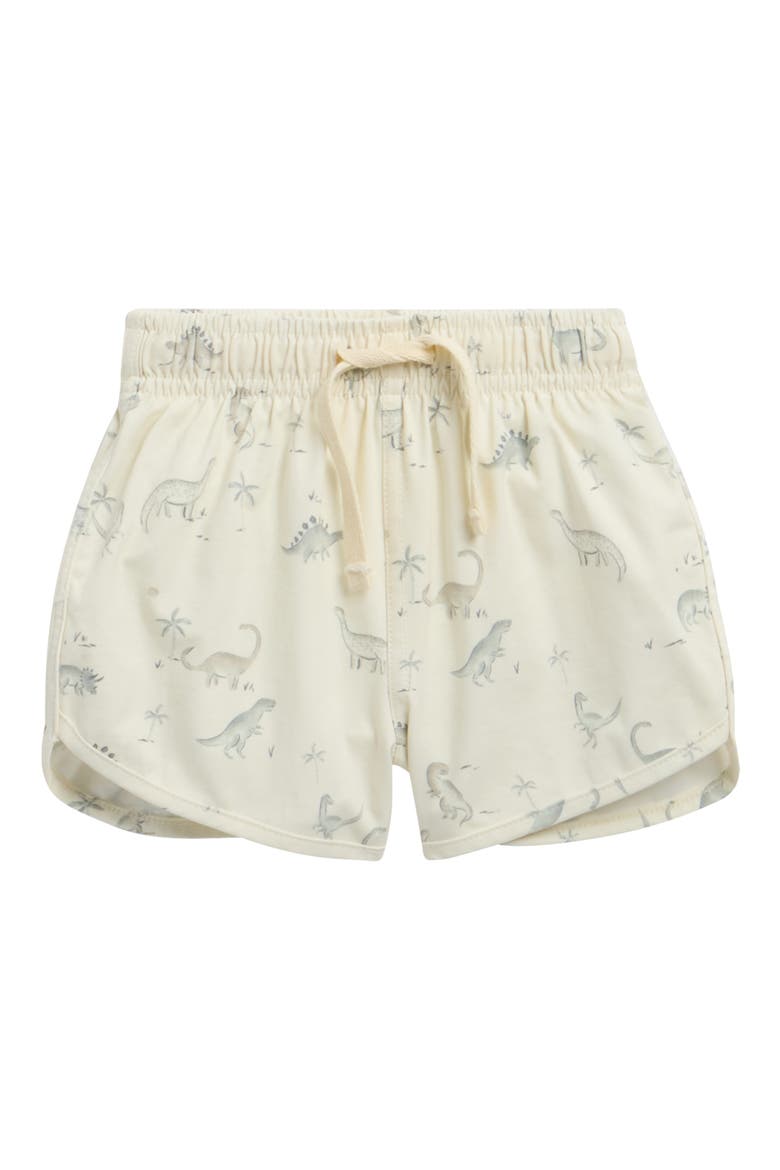 Kids' Dinosaur Swim Shorts, Main, color, IVORY