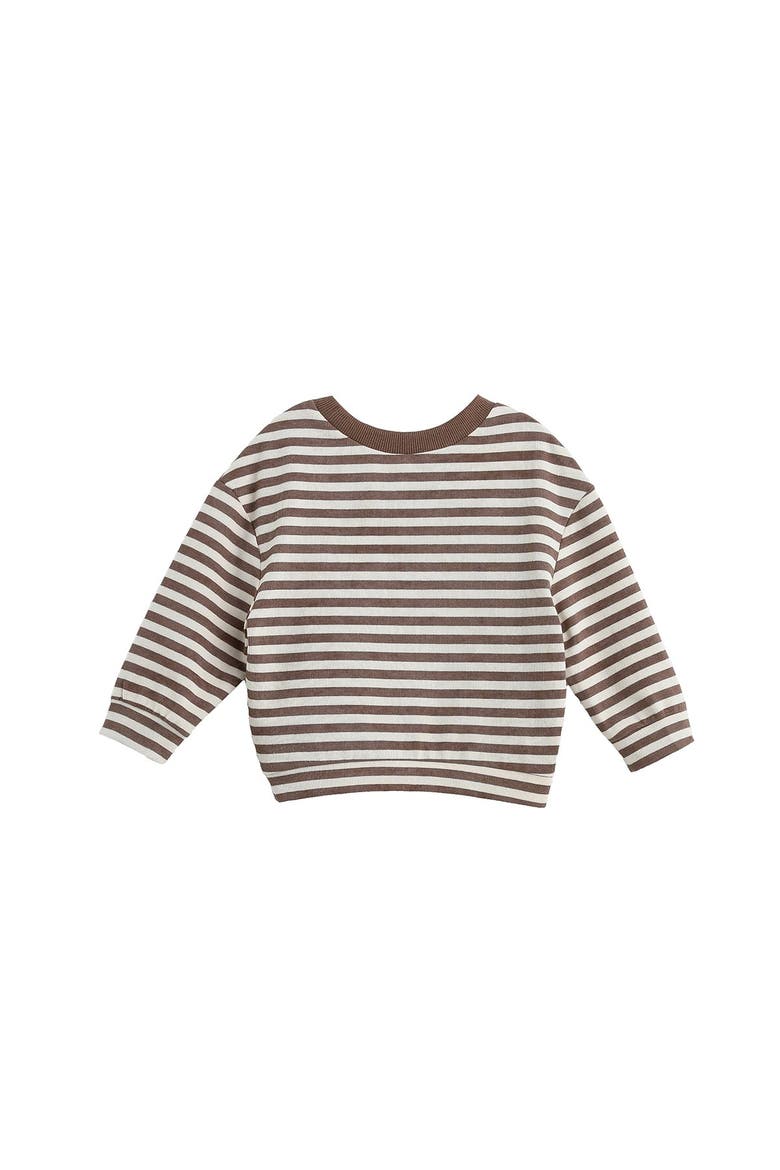 Max Long Sleeve Striped Raglan Ribbed Crew Neck Top, Alternate, color, Brown