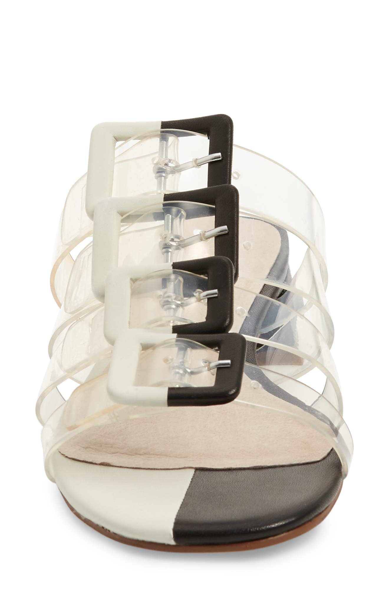 Cecelia New York Lincoln Strappy Clear Slide Sandal, Alternate, color, 