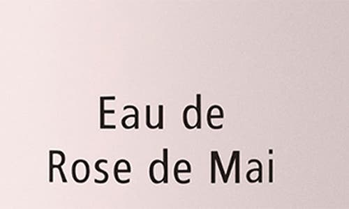 Chantecaille Travel Size Pure Rosewater Face Mist In Pink