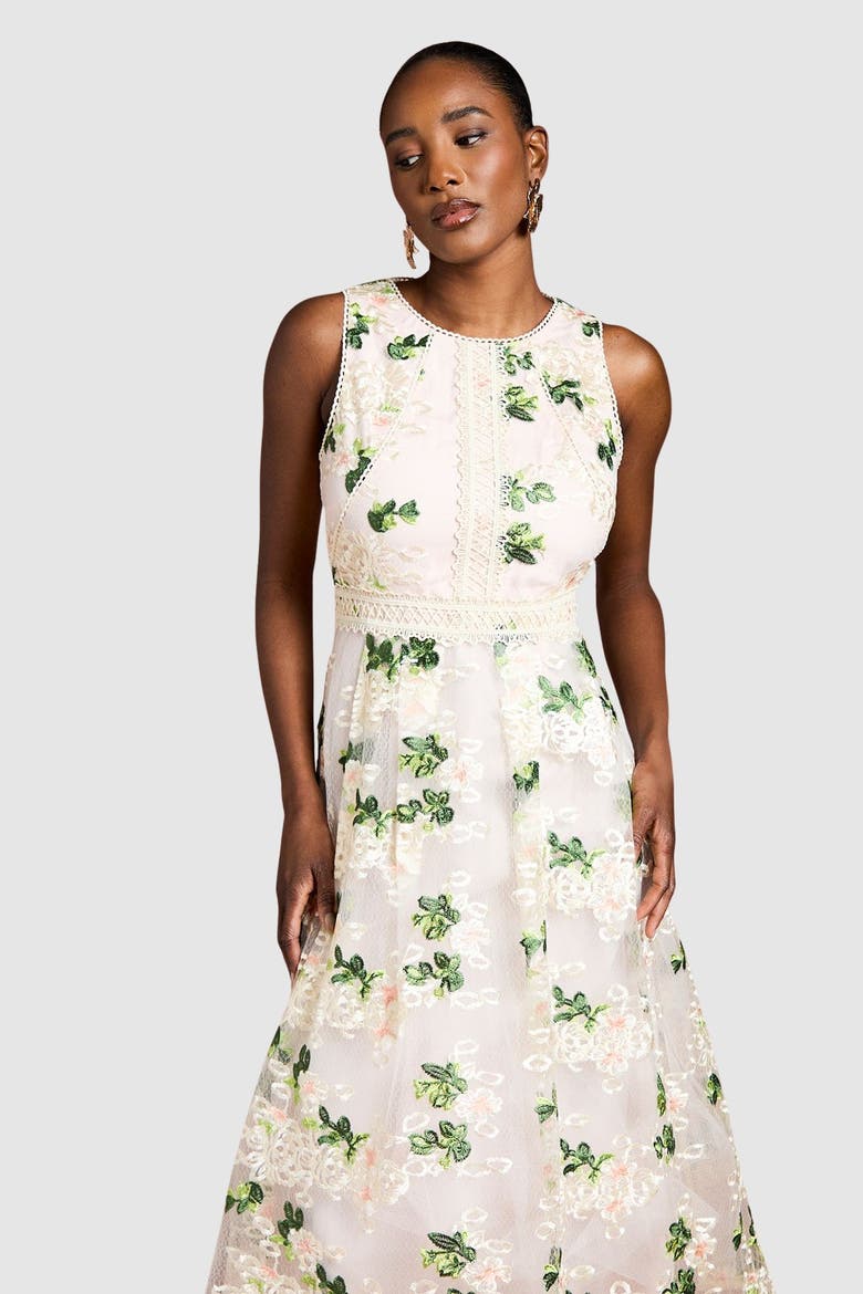 Embroidered Mesh Lace Skirted Midi Dress, Alternate, color, Blush