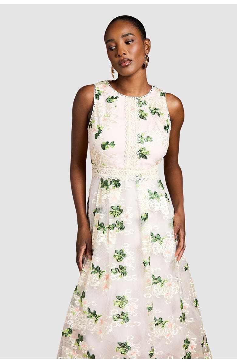 Coast Embroidered Mesh Lace Skirted Midi Dress, Alternate, color, Blush