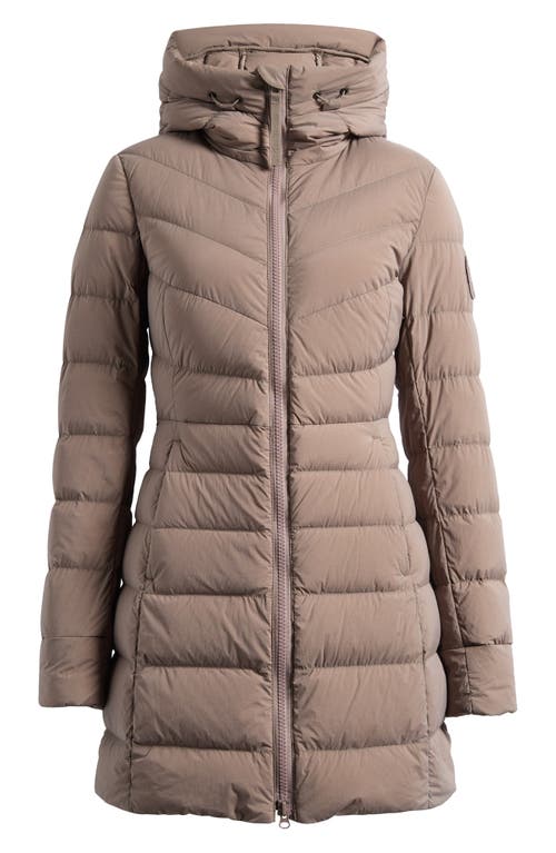 Canada Goose Clair Black Label 750 Fill Power Down Puffer Coat In Brown