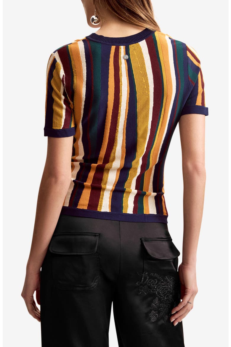 Stripe Short Sleeve Sweater, Alternate, color, YELLOW MULTI