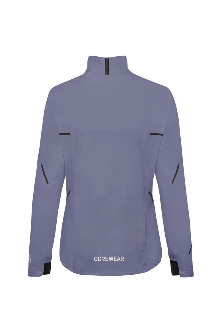 Women's Spinshift Gore-tex Jacket, Alternate, color, Amethyst Grey
