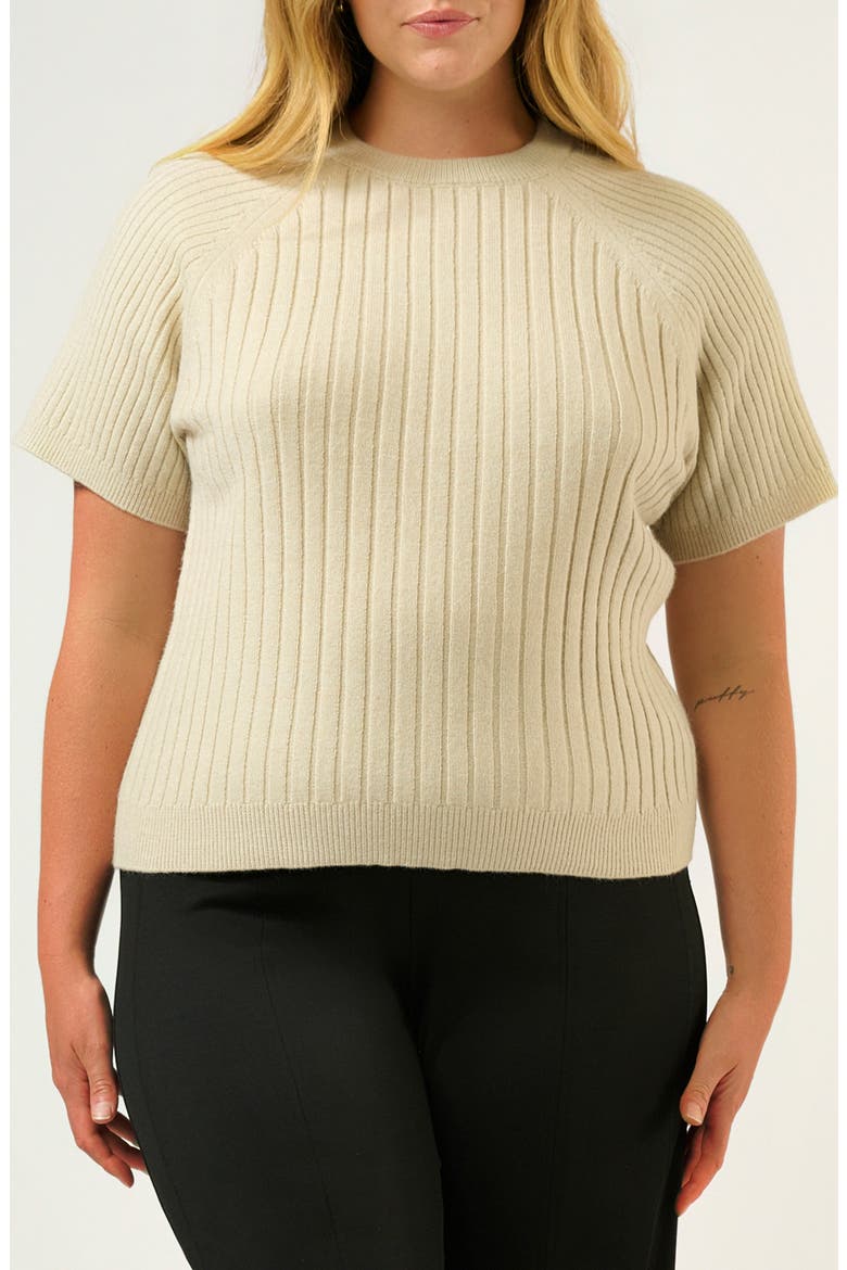 Sera Raglan Sleeve Rib Sweater, Main, color, OAT