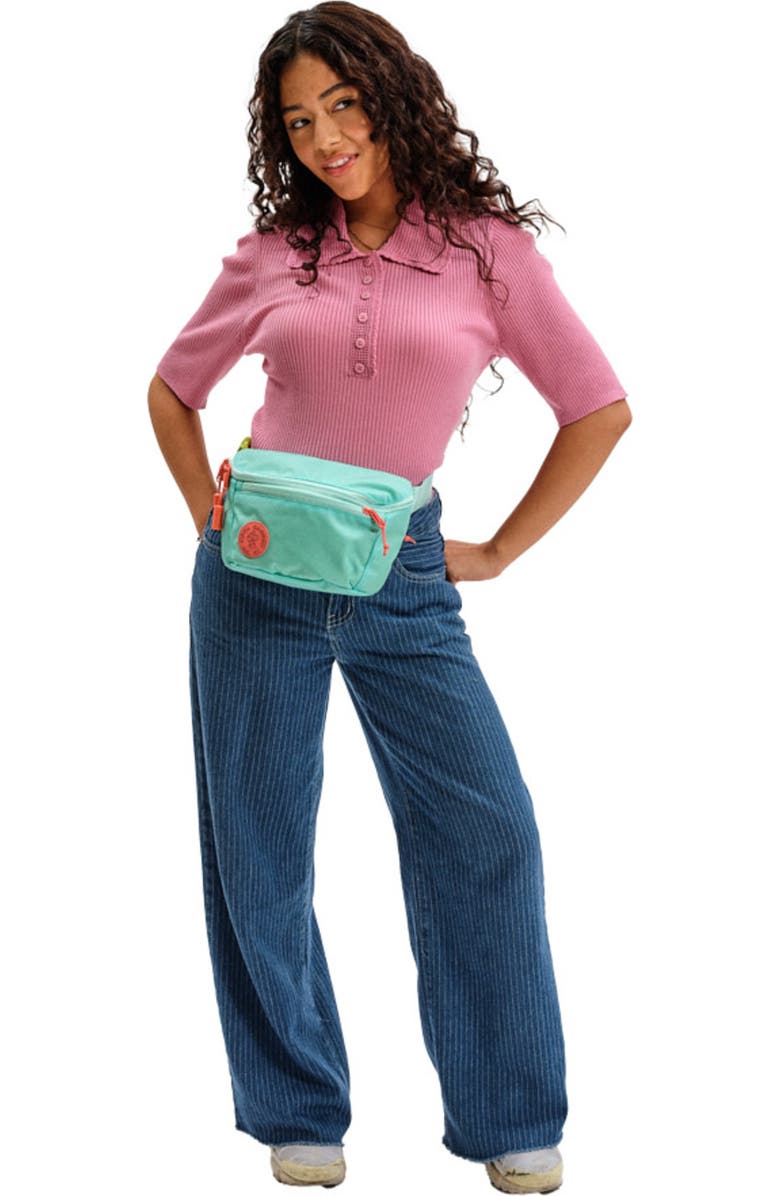 Baboon to the Moon Fannypack 3L, Alternate, color, Aqua Drift