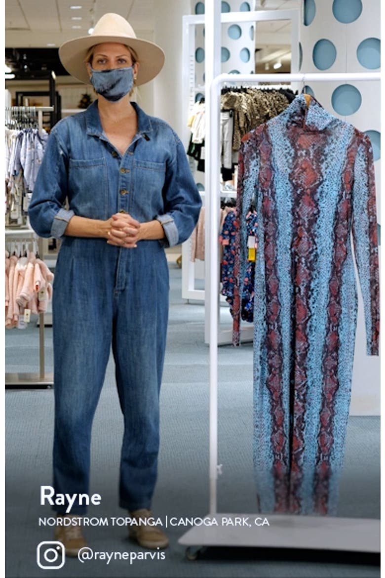 Shailene Long Sleeve Mesh Midi Dress video
