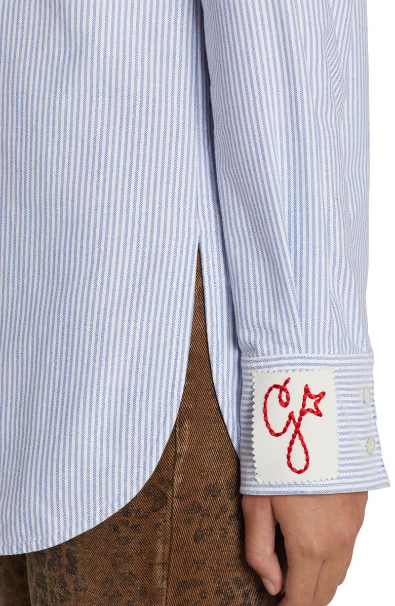 Golden Goose Stripe Cotton Button-Up Shirt, Alternate, color,