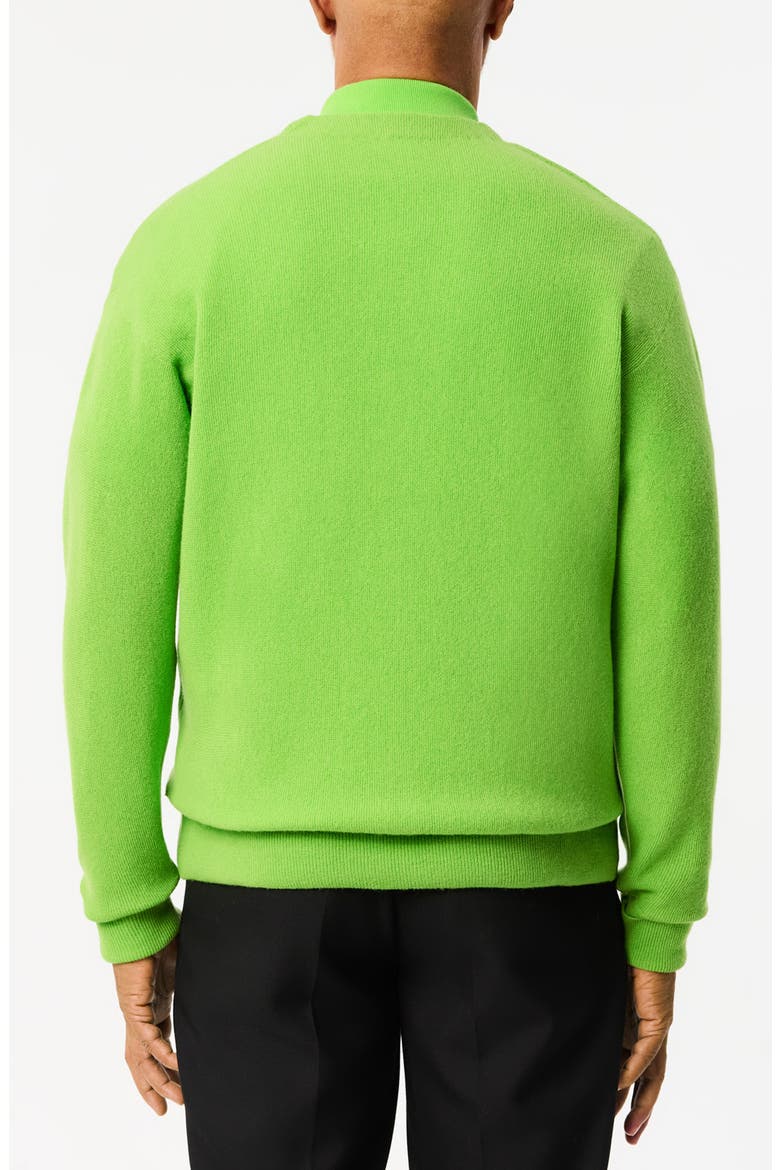 Relaxed Fit Wool Cardigan, Alternate, color, BRASILIA