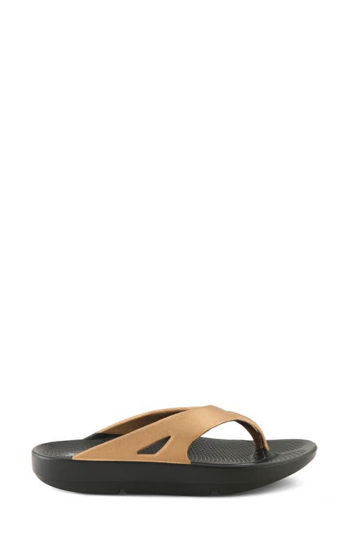 Flexus By Spring Step Osmar Flip Flop In Black