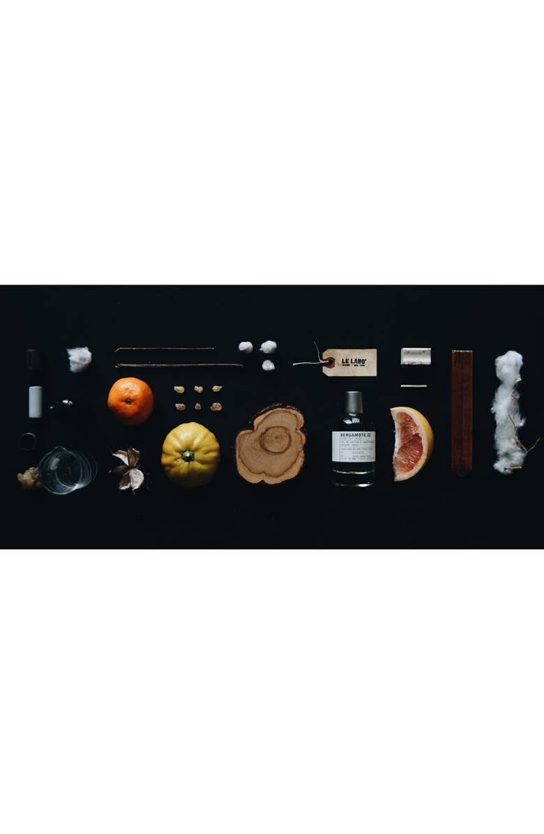 Le Labo Bergamote 22 Eau de Parfum, Alternate, color, 