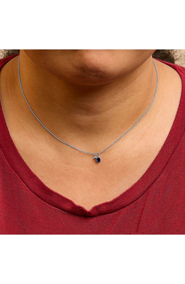 Haus of Brilliance 10K White Gold Oval Blue Sapphire and Diamond Double Charm Pendant Necklace, Alternate, color, White