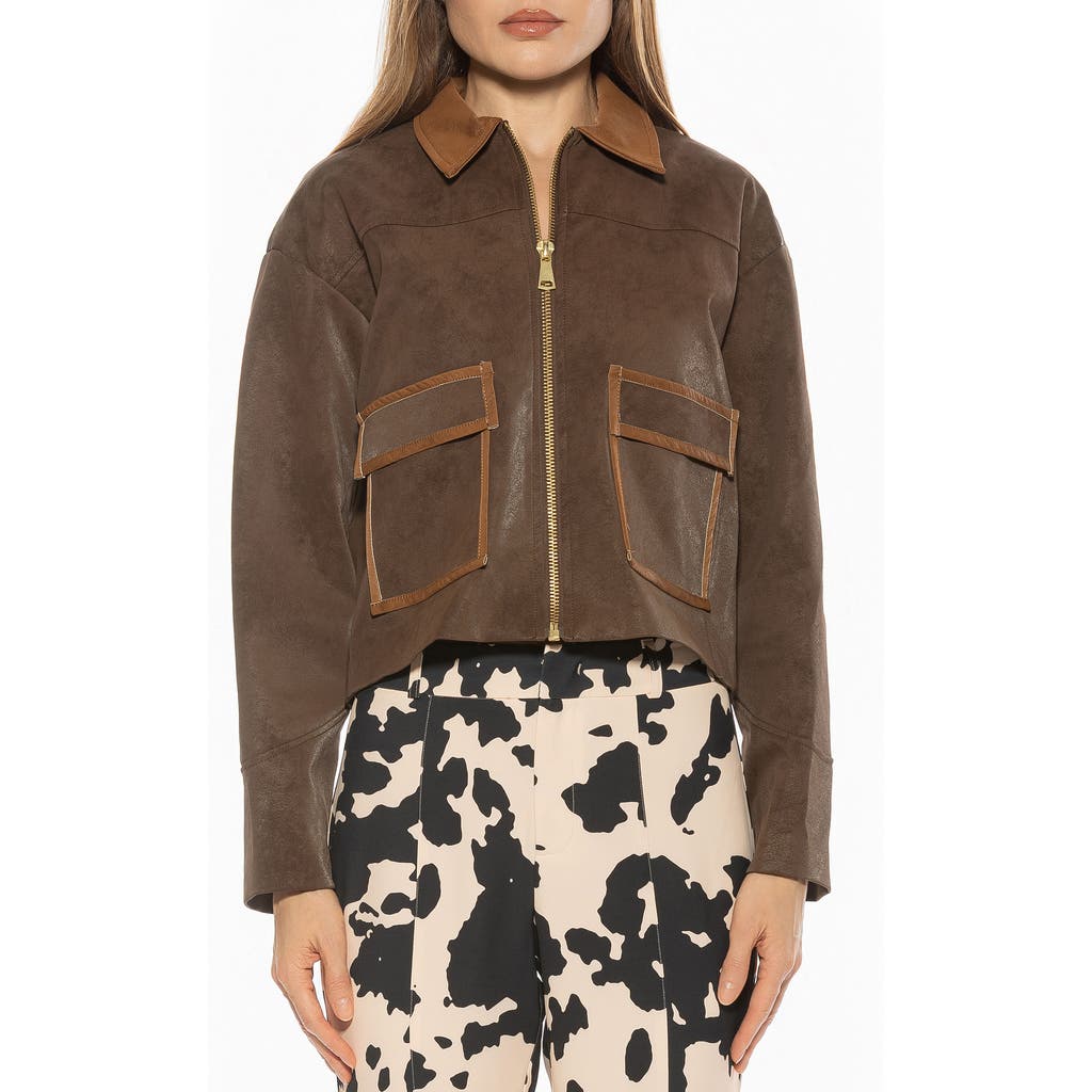 Alexia Admor Sorell Utility Jacket In Brown