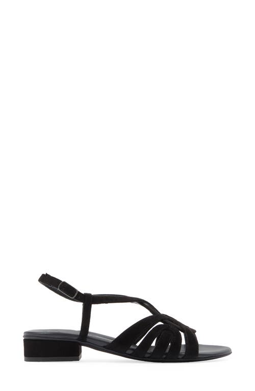 Paul Green Rumi Sandal In Black Royal Velour