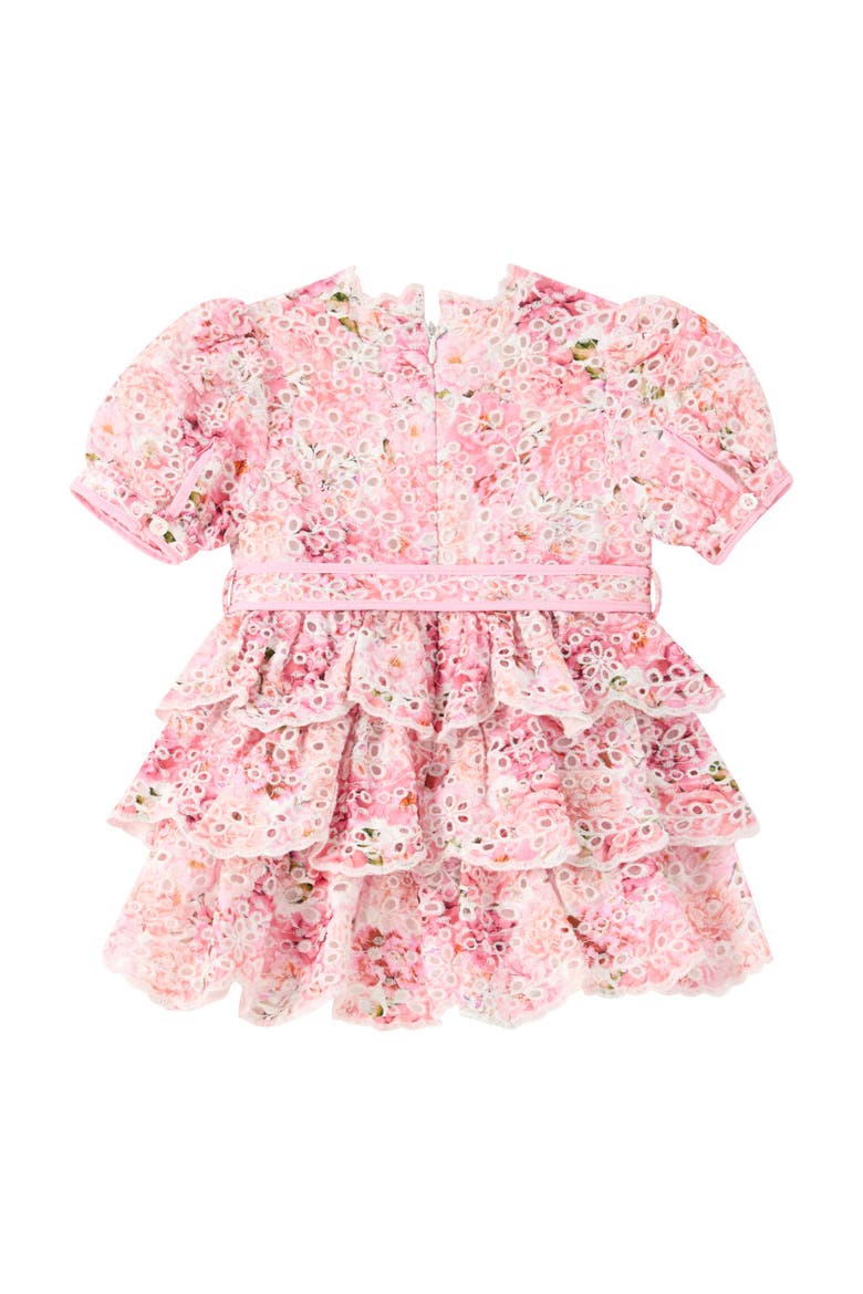 Julietta Cotton Embroidered Mini Dress, Alternate, color, Floral