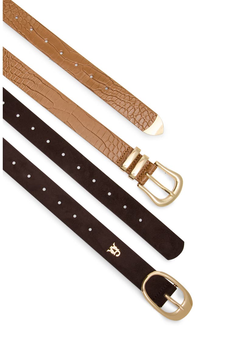 Set of 2 Assorted Belts, Alternate, color, TAN MULTI