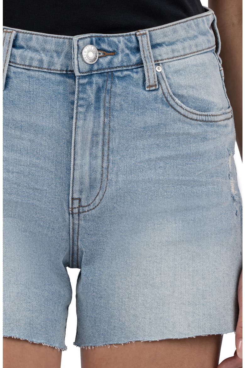 Jane High Waist Cutoff Denim Shorts, Alternate, color, DEEP