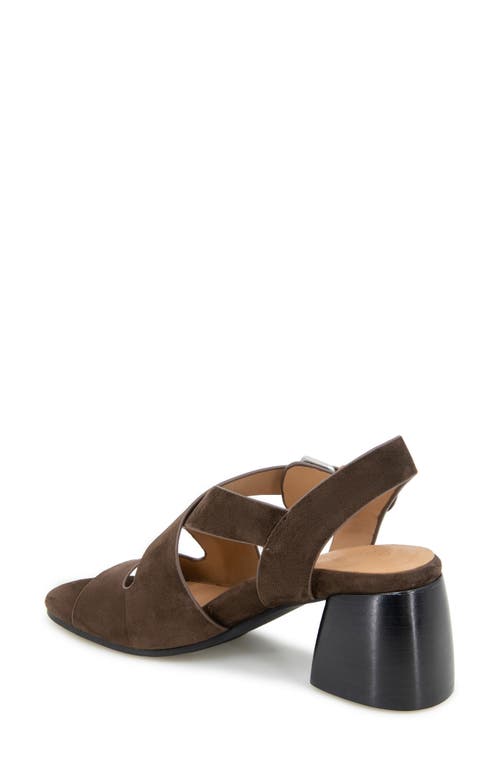 Gentle Souls Mela Crisscross Sandal In Brown