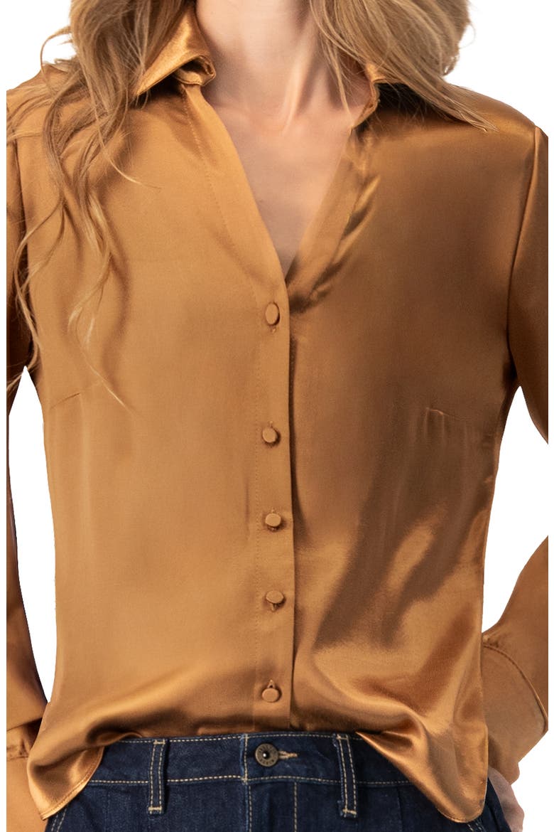 Solid Long Sleeve Satin Shirt, Alternate, color, Brown
