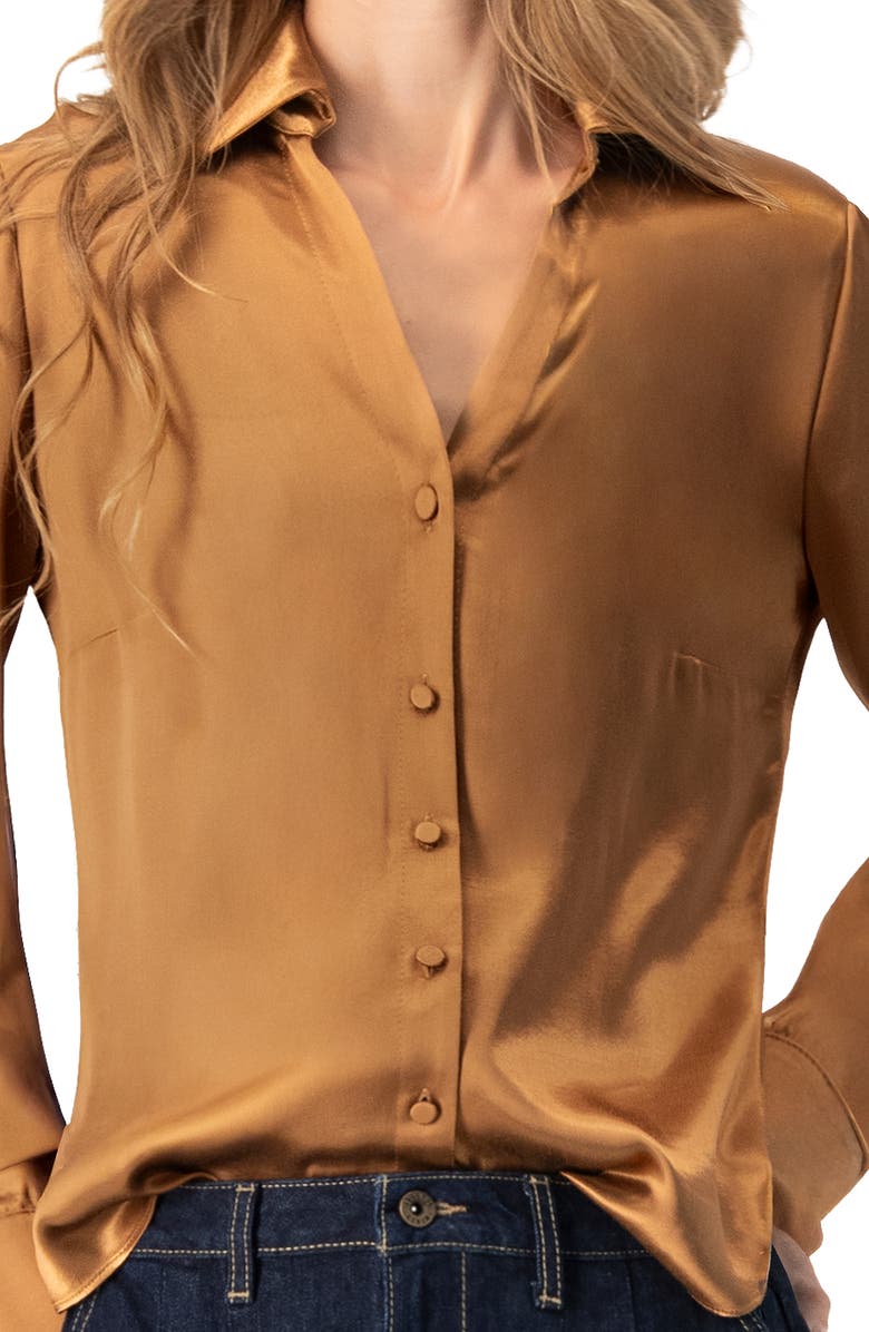 IVONNE Solid Long Sleeve Satin Shirt, Alternate, color, Brown