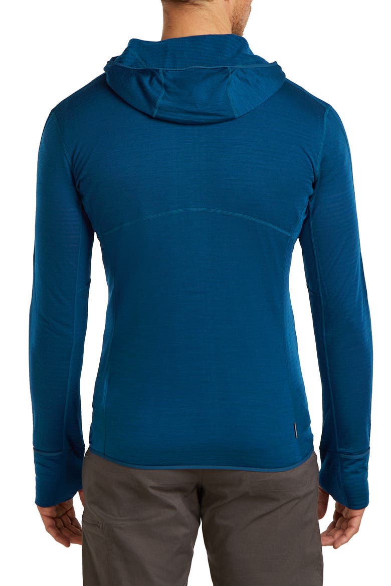 Lyocell & Merino 200 Realfleece Descender Hooded Jacket, Alternate, color, ATLANTIS/ ARCTIC