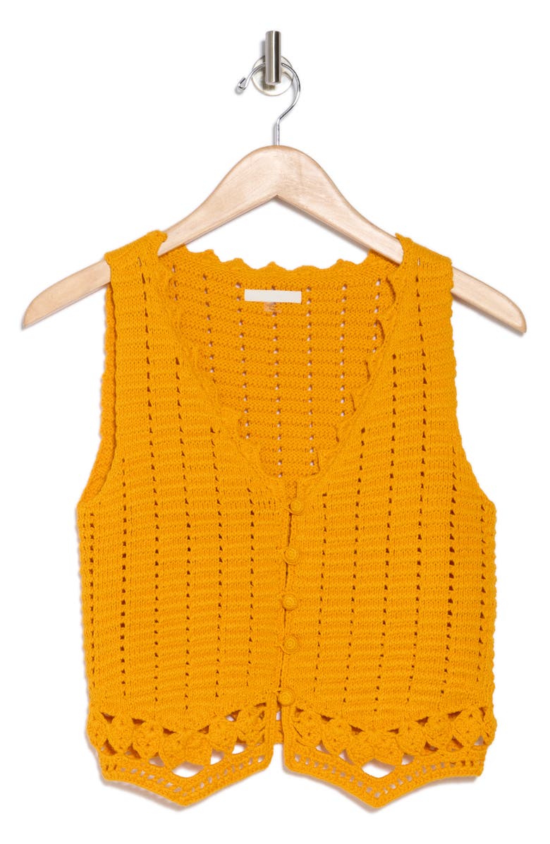 MOTHER The Best of the Vest Open Stitch Vest, Main, color,