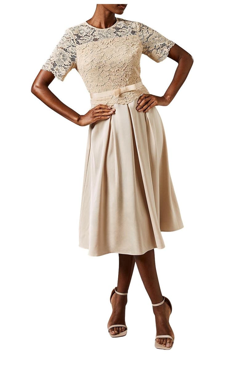 Coast Lace And Crepe Full Skirted Midi Dress, Alternate, color, 