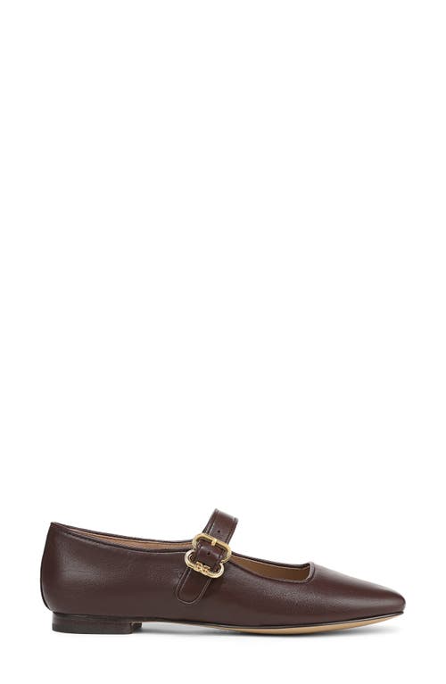 Sam Edelman Michaela Mary Jane Flat In Brown