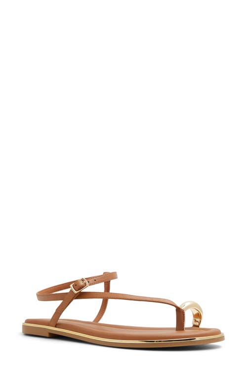 ALDO Jomali Ankle Strap Sandal in Medium Brown 