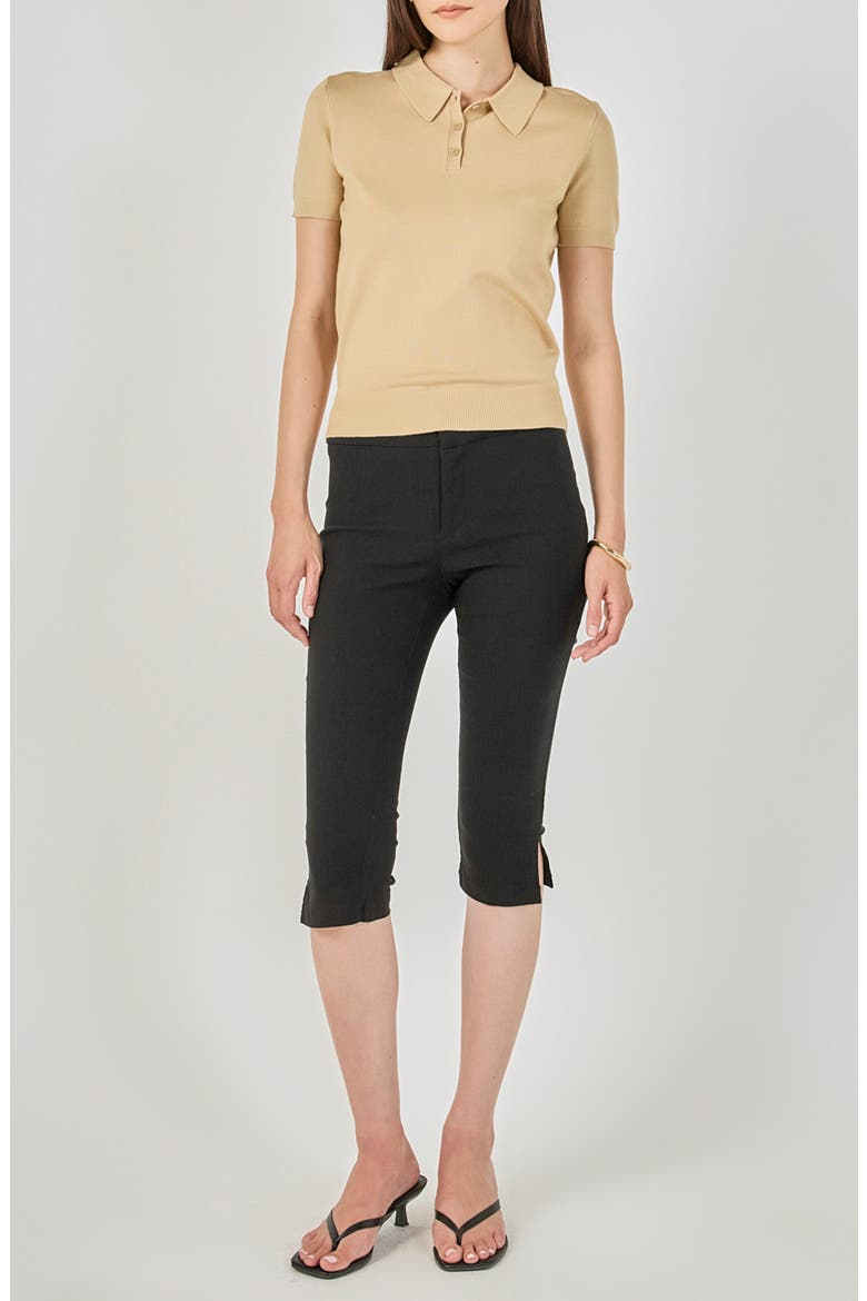 Polo Sweater, Alternate, color, TAN