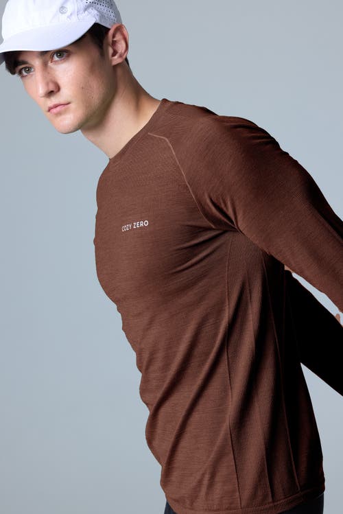 Cozy Zero Tech Merino Classic Fit Long Sleeve Top In Cappuccino