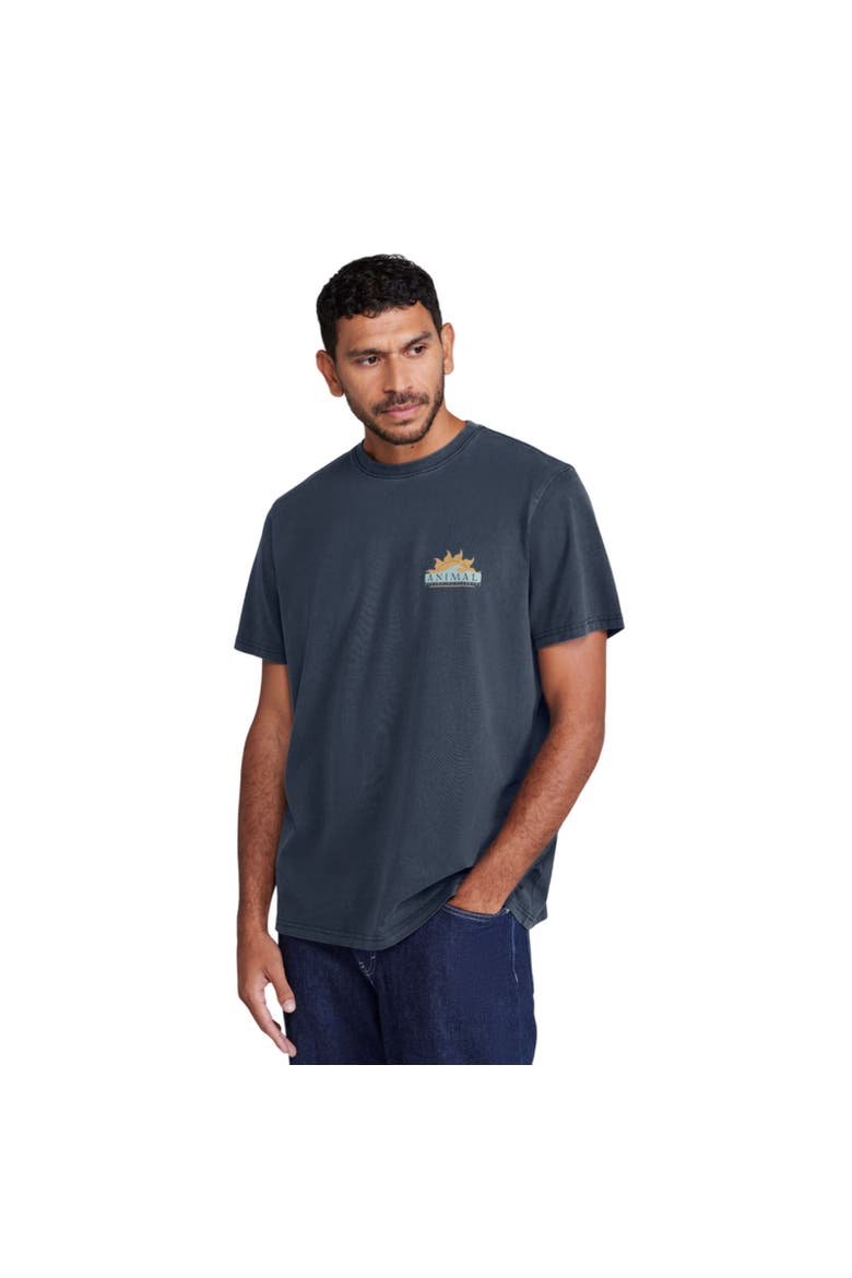 Chase Sun Relaxed Fit T-Shirt, Alternate, color, Navy