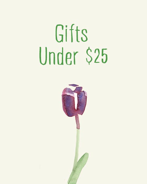 Holiday Gift Guide: Under $25 — Mommy In Heels