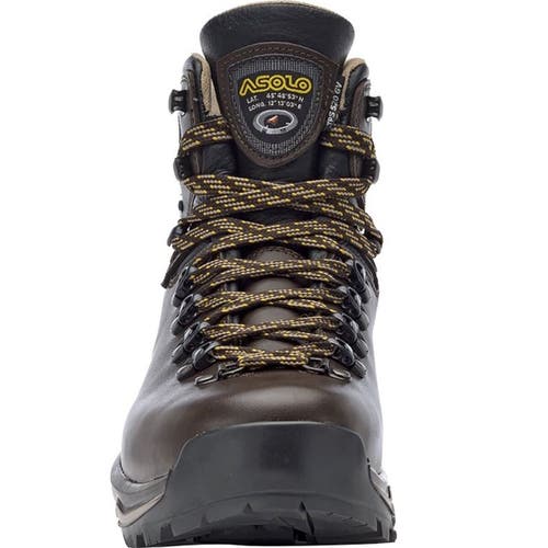 Asolo Tps 520 Gv Evo Wide Backpacking Boot In Brown